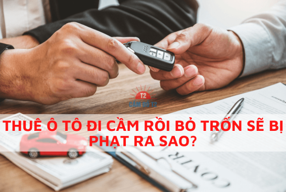 Thuê xe ô tô đi cầm vi phạm tội gì?